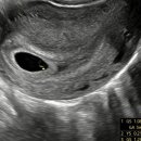 더블유워너비여성의원 이미지