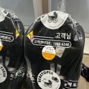 베베토피아 이미지