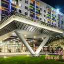 소나무 숲 리조트 이미지