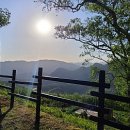 동강전망휴양림오토캠핑장 이미지