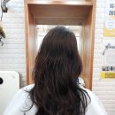 헤어코코 이미지