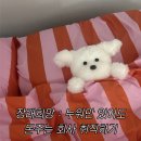 수석2통 | 취뽀 그거 어떻게 하는 건데 .. [1월]