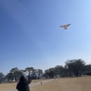 청금로 | 충주 행복담는국수집 후기｜잔치국수·어묵국수·비빔국수 양 많고 맛있는 중앙탑 국수집