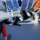 하띠농장 이미지