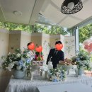 끌레르오브 | 포항 돌잔치 후기 (벨라셰나, 끌레르베베, 셀렉트오브)