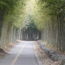 안골4교 이미지