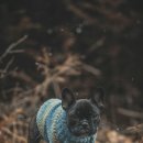 아이펫동물병원 이미지