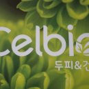 중앙동159 이미지