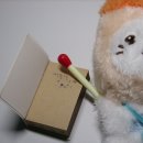버블냥 이미지