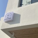 소금소금 펫살롱 이미지