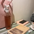 구미펍코로나
