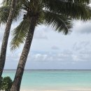 비치하우스 | 괌/두짓비치리조트 식당 비치하우스, 타씨그릴 솔직 후기