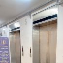 신화타운  올리브영 앞 이미지