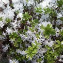 가정고등학교 이미지