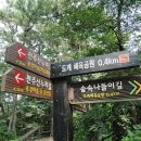 도계체육공원 이미지