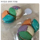 노닥 이미지