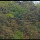 영덕군창수면오촌보건진료소 이미지