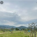 삼호골프 이미지