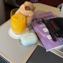 반도빌딩, 서초라이즈어학원 | 🇦🇺호주 어학연수 | 🏫Greenwich 어학원