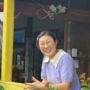 해바라기복지용구 이미지