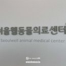 서울웰동물의료센터 이미지