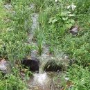 종다리공원 이미지