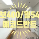 에코드반트 이미지