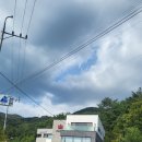 할리스울산율리점