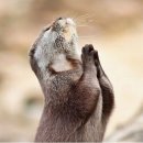 찬스게임장 | 청송 소노벨 1박 2일 솔직한 후기!