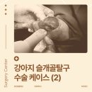 대현동물병원 이미지