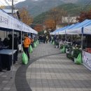 봄맞이 표고농장 이미지