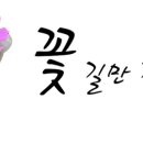 플라워퍼피 이미지