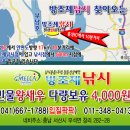 천수만[부남호] 6월17일 43cm와 대물 조황 이미지