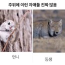세븐일레븐불당싱글벙글점 | 도쿄 3박 4일은 너무 짧앙.. #2 긴자이토야/ 긴자로프트 / 롯폰기 이마카츠 추성훈아조씨 맛집 !
