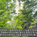 [성경필사] 우리는 주의 움직이는 교회 _ 2021.07.30 _ 금요일에 주신 말씀 이미지