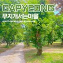 무지개 서는 마을 | 가평 연인산 무지개서는마을 애견동반 가능한 오토캠핑장 익근리계곡 물놀이 후기