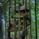 숲속트리하우스 이미지