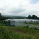 도순동-2 이미지