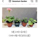 아름바름