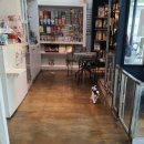 개포별빛동물병원 이미지