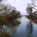 색동다리 이미지