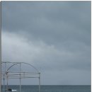 김선장횟집 이미지