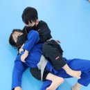 트라이스톤 주짓수 태권도 이미지