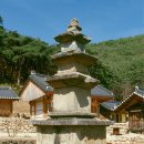 지보사