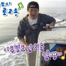 (주)코드아티스트 이미지