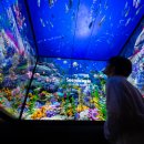 스카이마트 이미지