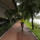 김시민대교 둔치 이미지