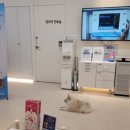 구미 산동 아이엔 동물병원 이미지