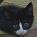 꽃돌이네 이미지