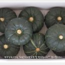 연우농원 이미지